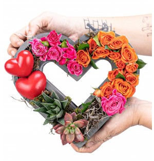 Kalp Saksıda İthal Renkli