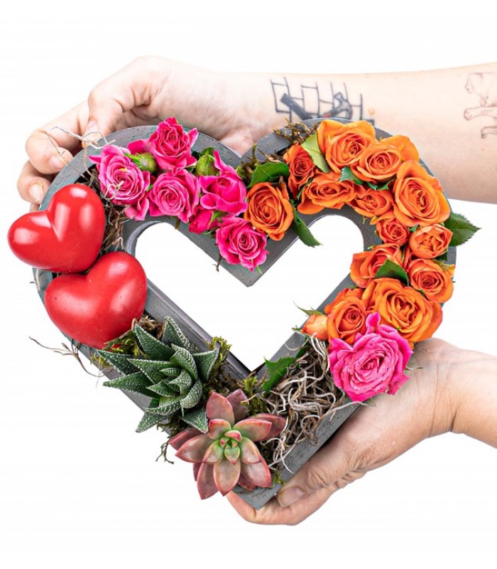 Kalp Saksıda İthal Renkli