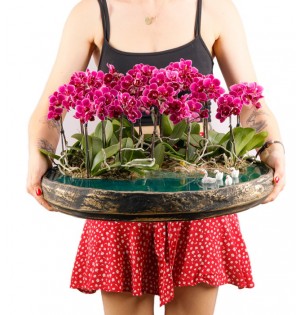 Nanbu Serisi Maldivler