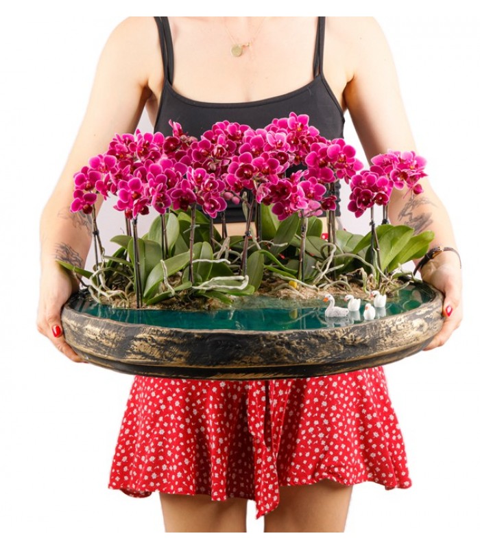 Nanbu Serisi Maldivler