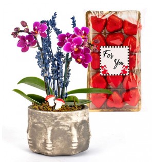 Mini Orkide Tasarım