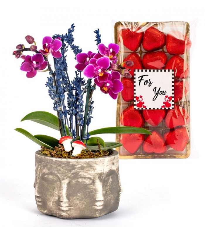 Mini Orkide Tasarım