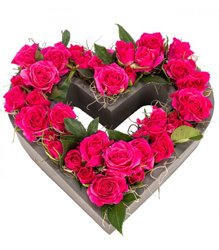 Kalp Saksıda İthal Fuşya