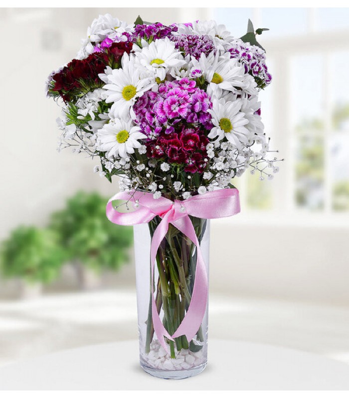 Papatya ve Hüsnüyusuf