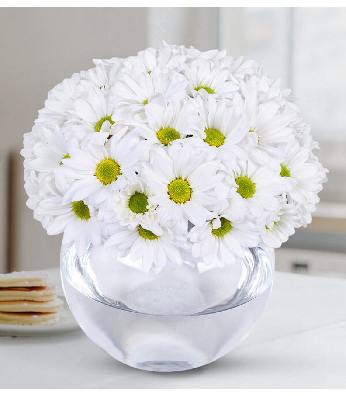 Cam Vazoda Papatyalar