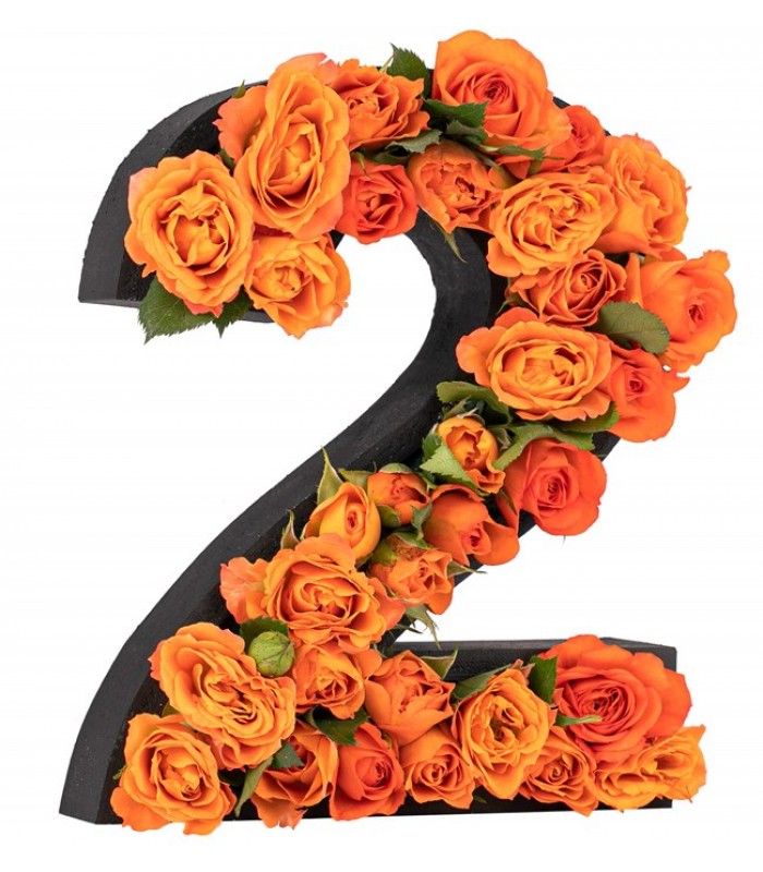 Kişiye Özel Rakam Saksıda