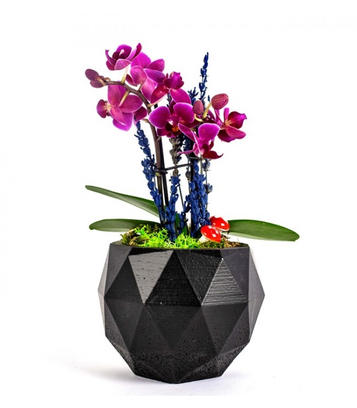 Geometrik Mini Orkide