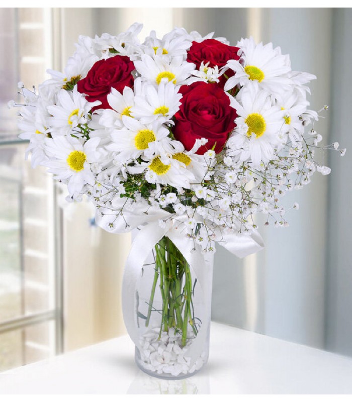 Kırmızı Gül ve Papatyalar